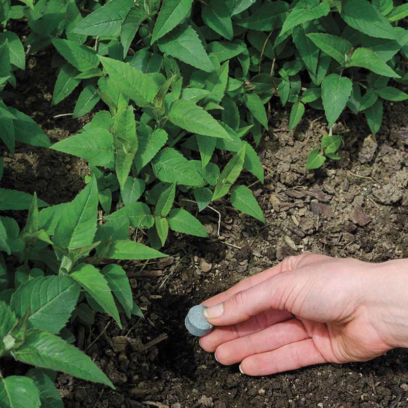 无色无味的快速入睡药